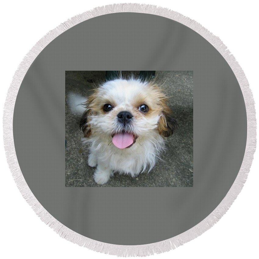 Dog Round Beach Towel featuring the photograph Ozzy by Valerie Brown