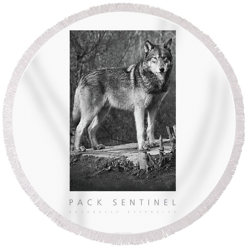 Wolf Round Beach Towel featuring the digital art Pack Sentinel Naturally Defensive Poster by David Davies