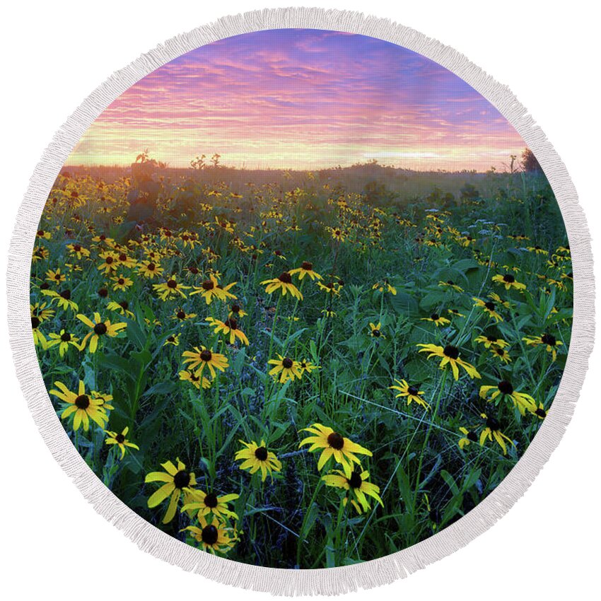 Conservation Area Round Beach Towel featuring the photograph Paintbrush Prairie IV by Robert Charity