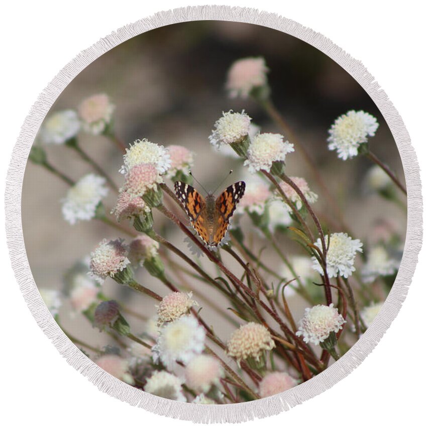 Wedding Round Beach Towel featuring the photograph Painted Lady on Wild Pincushion Flower in Coachella Valley Wildlife Preserve by Colleen Cornelius