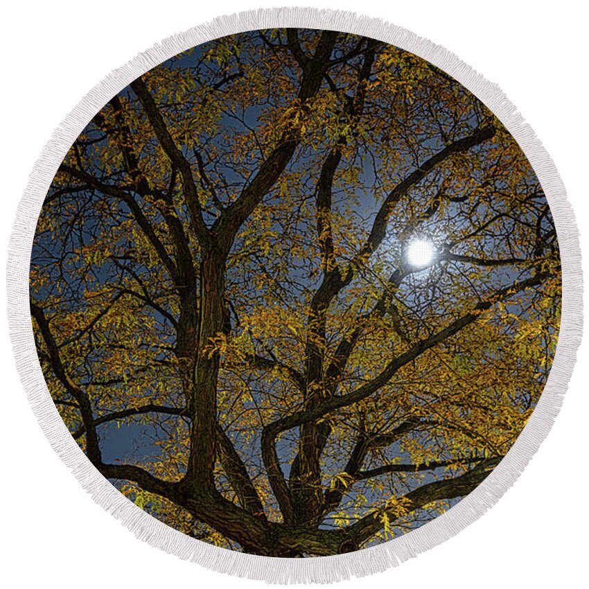 Tree Round Beach Towel featuring the photograph Painterly Elm Tree at Night by Jim Signorelli