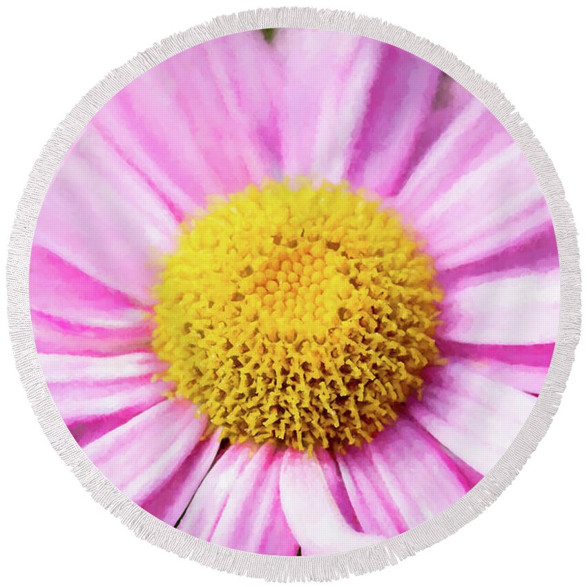 Pink Daisy Round Beach Towel featuring the photograph Painterly Pink Daisy 1 by Tanya C Smith