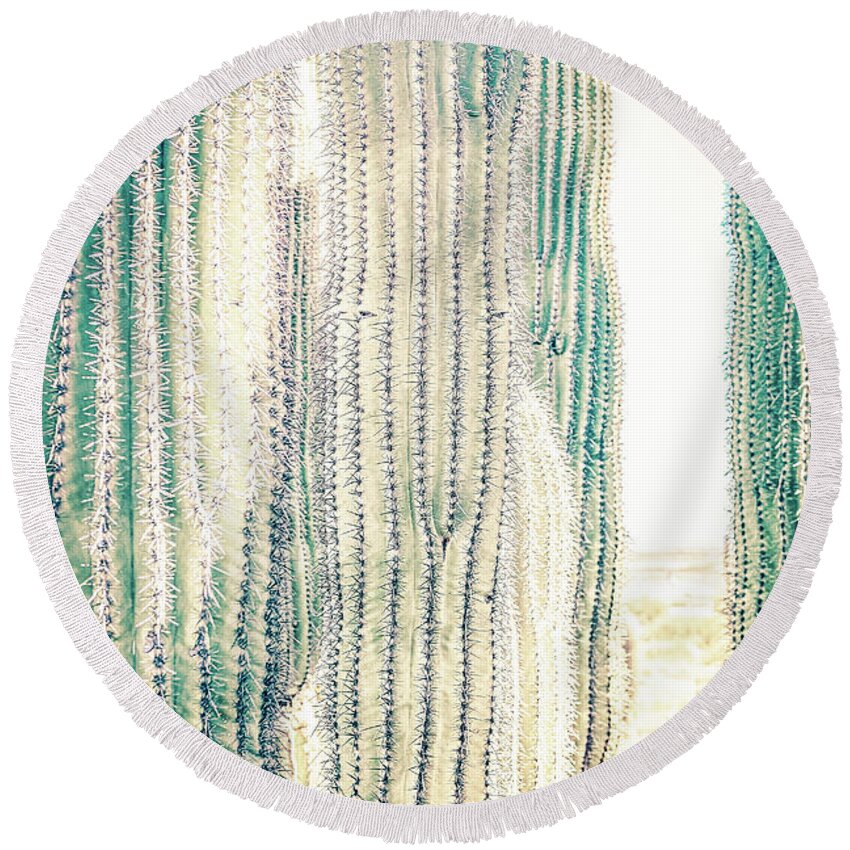 Arid Round Beach Towel featuring the photograph Pale Saguaro Cacti #1 by Jennifer Wright