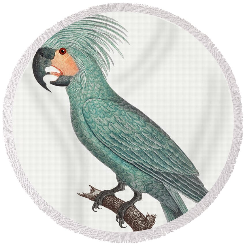 Palm Cockatoo Round Beach Towel featuring the mixed media Palm Cockatoo by World Art Collective