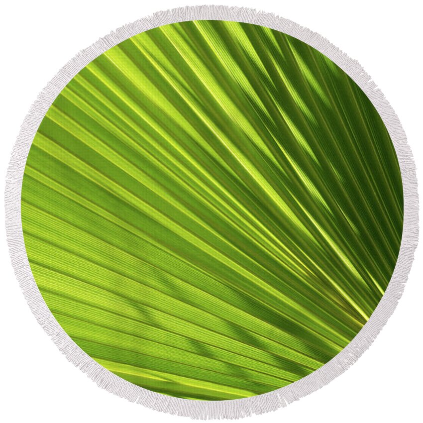 Palm Leaf Round Beach Towel featuring the photograph Palm leaf with light and shadow 2 by Adriana Mueller