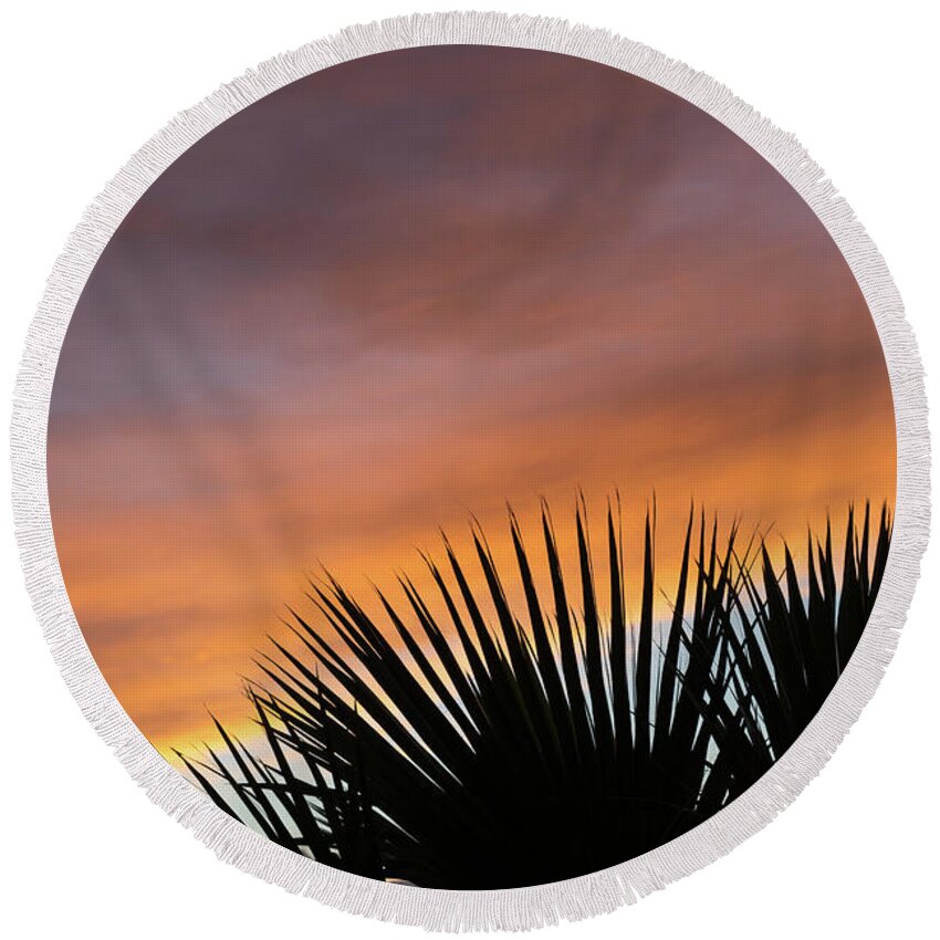 Palm Leaves Round Beach Towel featuring the photograph Palm leaves and soft clouds at sunset by Adriana Mueller