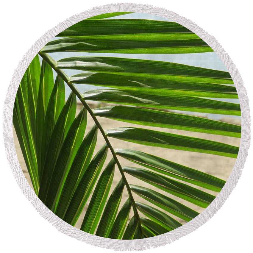 Palm Round Beach Towel featuring the photograph Palm Tree Frond by Raymond Fernandez
