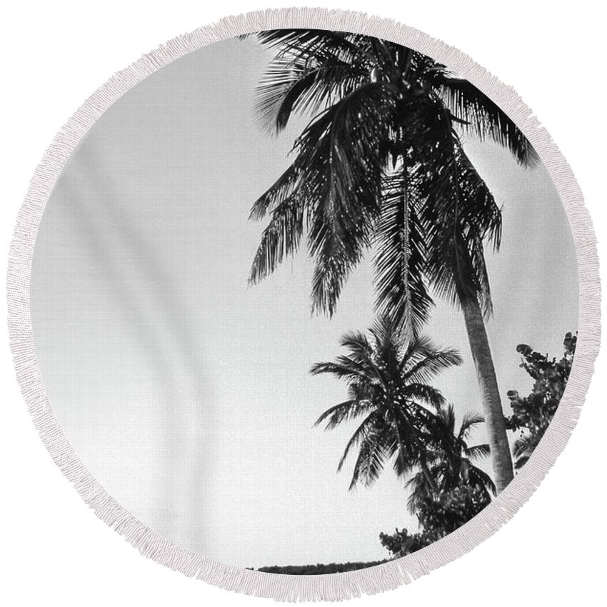 Fine Art Round Beach Towel featuring the photograph Palm Tree by Mike McGlothlen