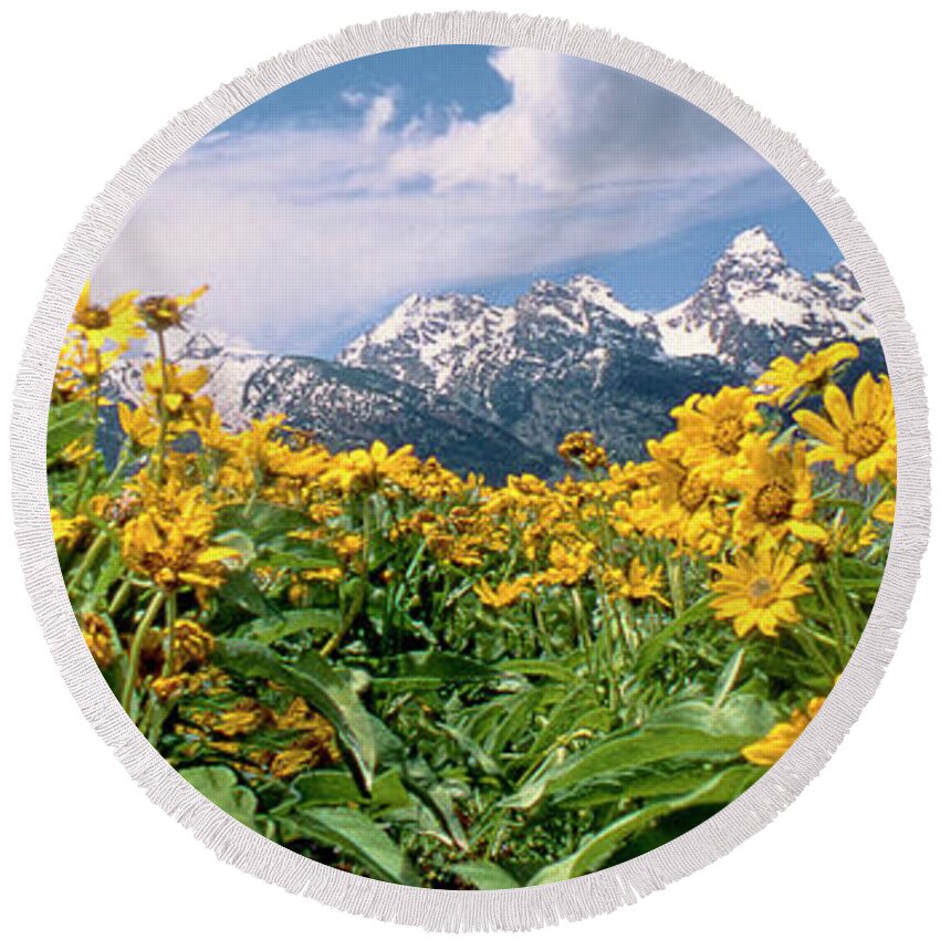 Dave Welling Round Beach Towel featuring the photograph Panoramic Balsamroot Below The Teton Range by Dave Welling