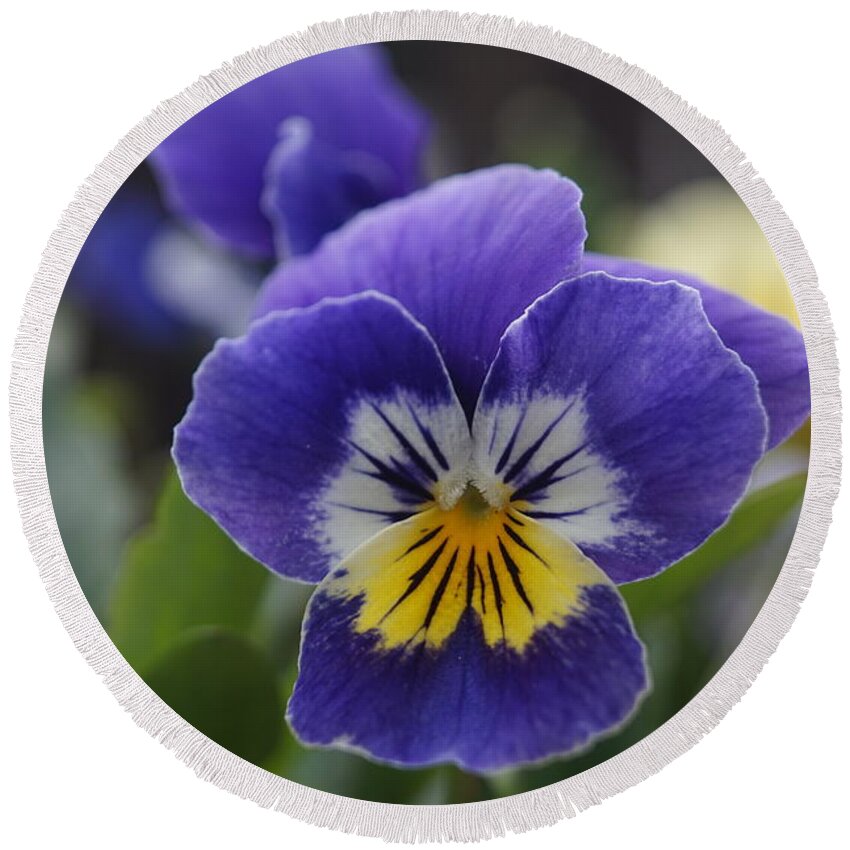 Macro Round Beach Towel featuring the photograph Pansy. MacFlower. by Elena Perelman