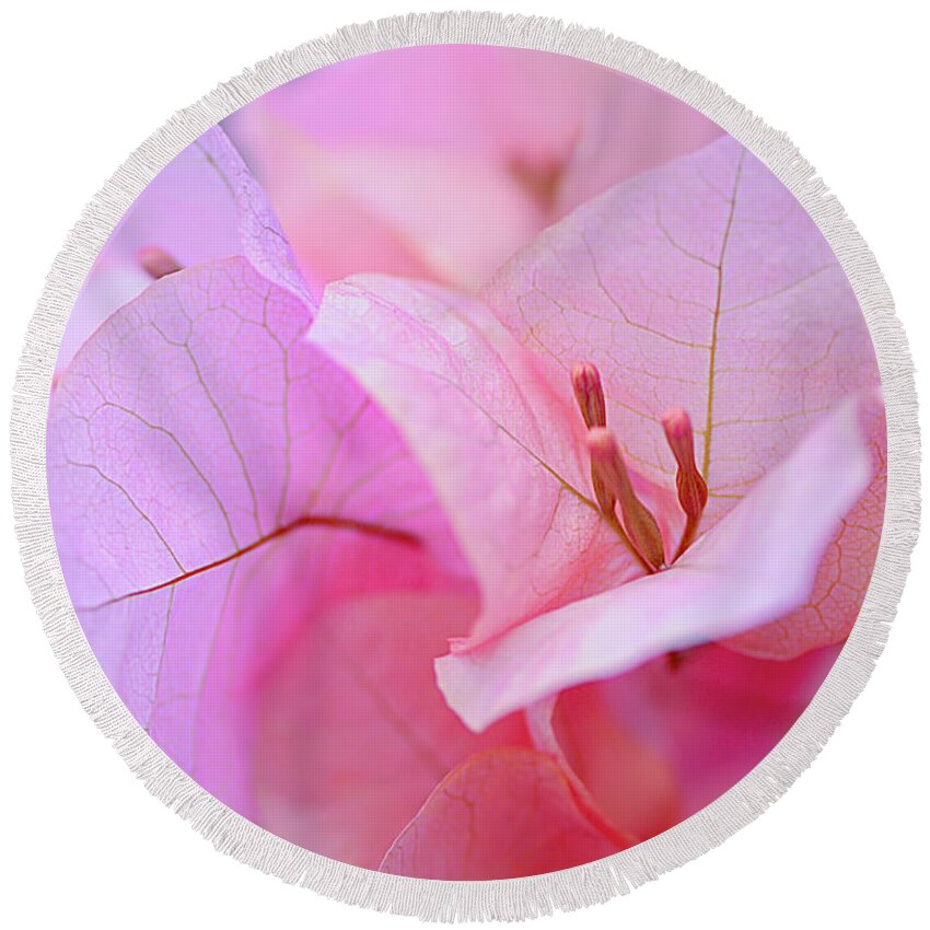 Pink Flower Round Beach Towel featuring the photograph Paper Flower At Botanical Gardens in New York City by Cordia Murphy