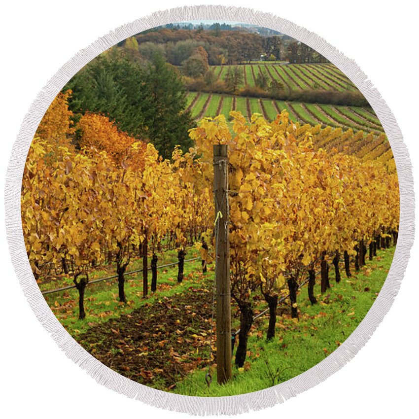 Vineyard Round Beach Towel featuring the photograph Patterns of Fall in the Vineyard by Leslie Struxness