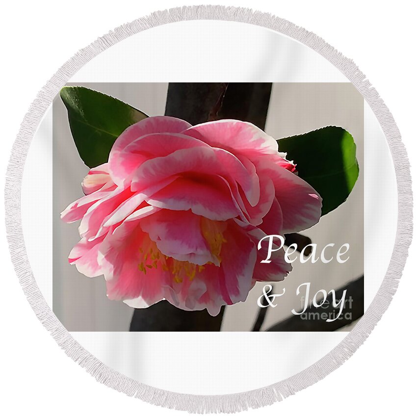 Floral Round Beach Towel featuring the digital art Peace and Joy - Pink And White Camellia Bloom by Kirt Tisdale