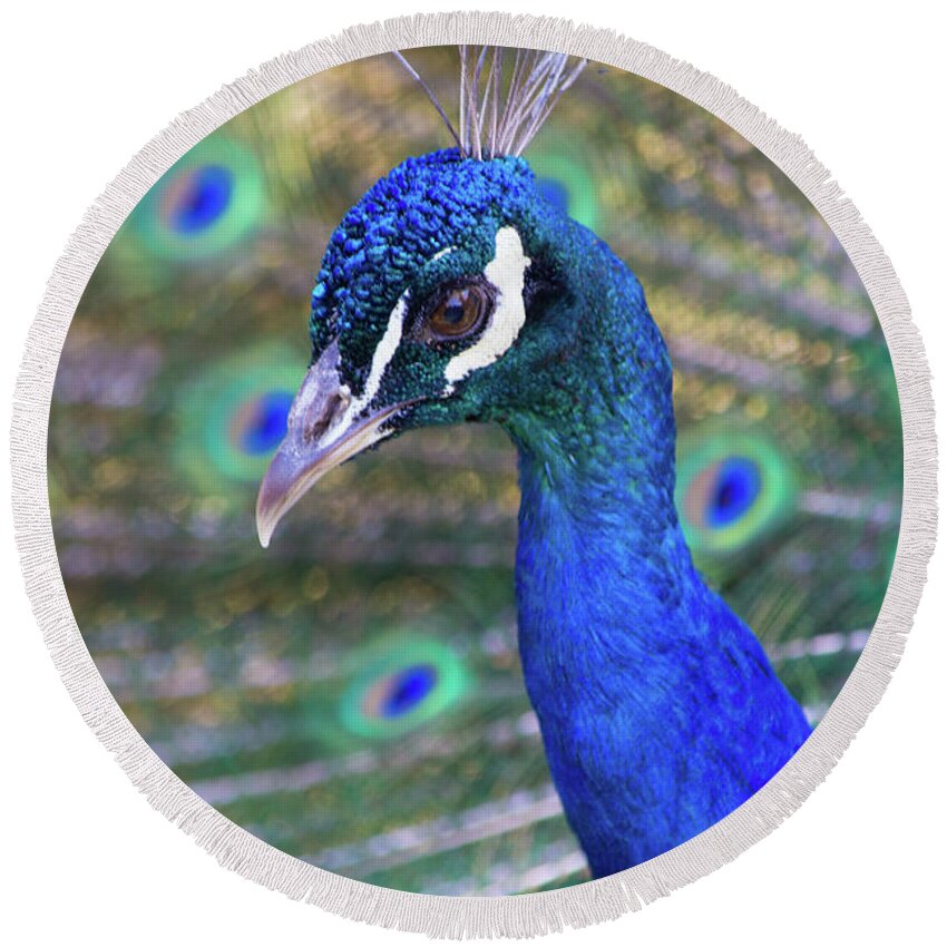 Peacock Round Beach Towel featuring the photograph Peacock 2 by Deborah M