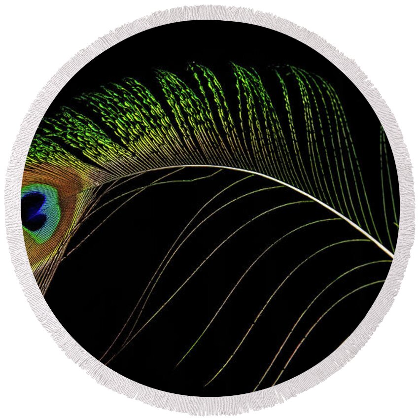 Peacock Round Beach Towel featuring the photograph Peacock Feather by Martina Abreu
