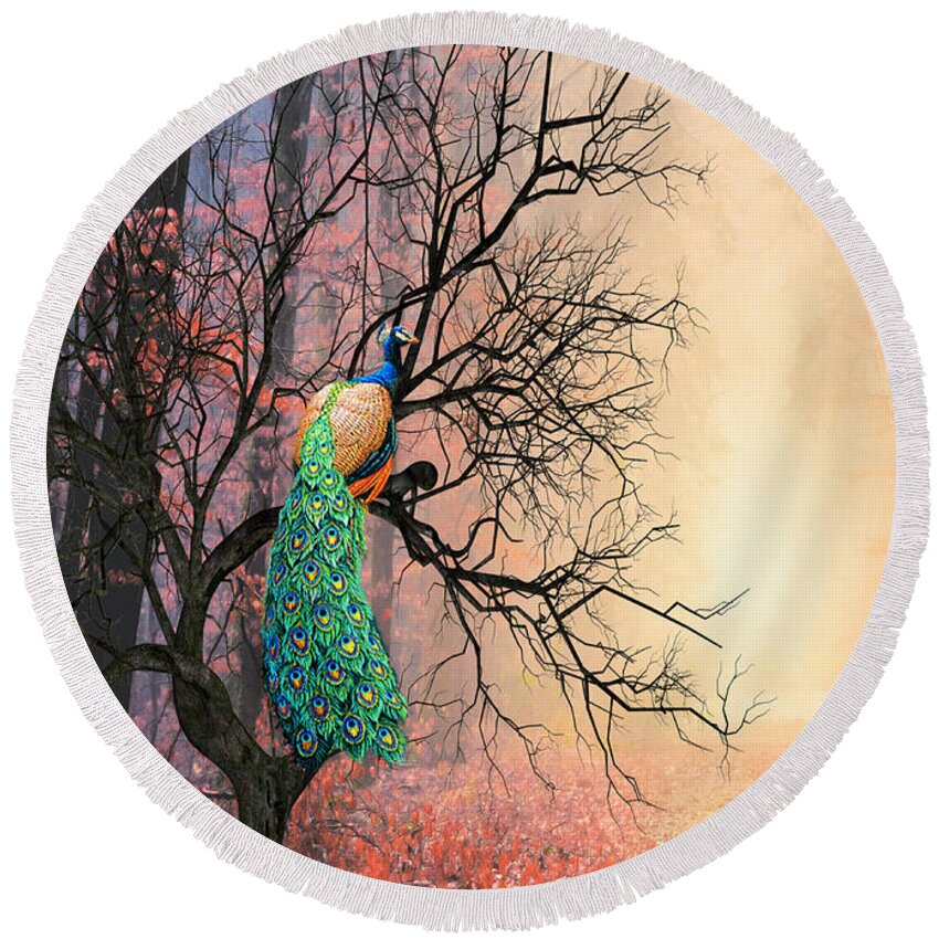 Autumn Round Beach Towel featuring the mixed media Peacock in the Fall by Morag Bates