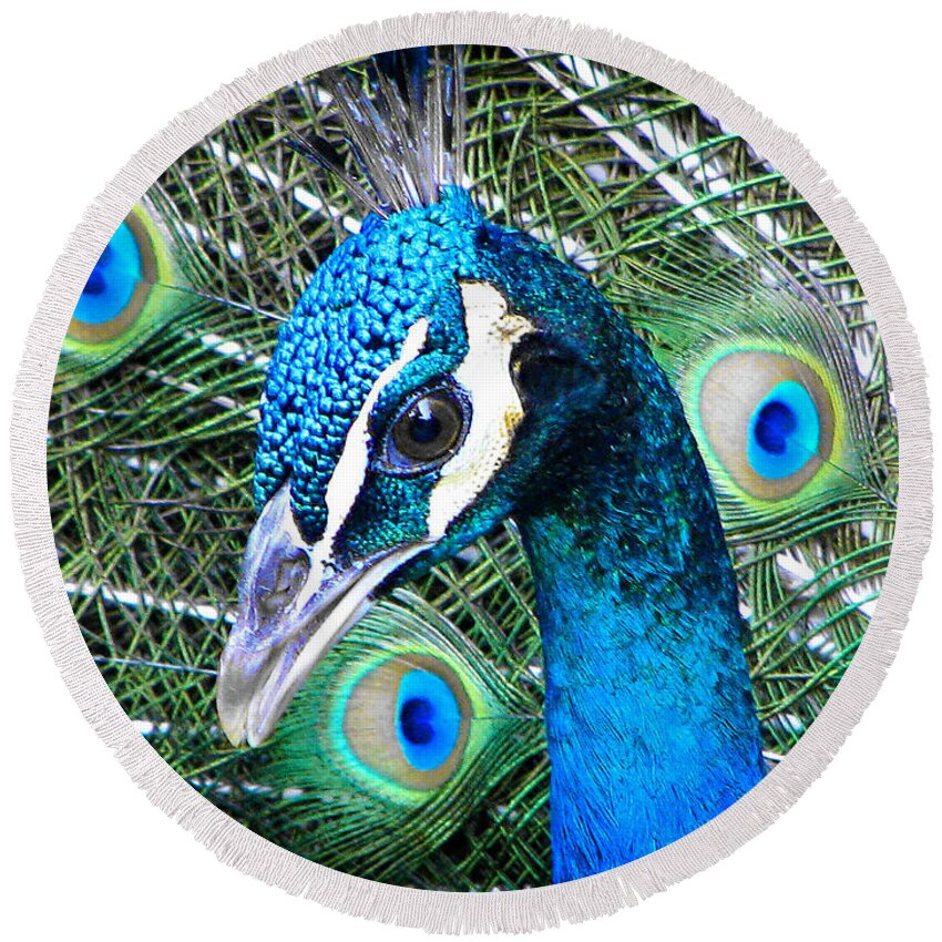 Peacock Round Beach Towel featuring the photograph Peacock Up Close by Ellen Cotton
