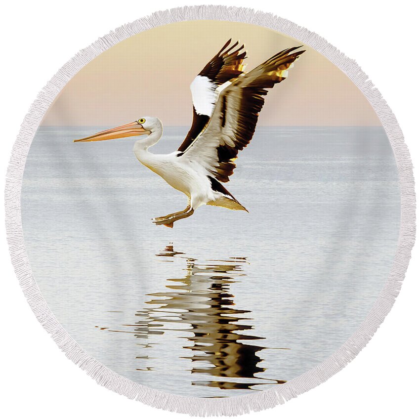 Three Pelicans Round Beach Towel featuring the photograph Pelican Landing Triptych_3 by Az Jackson