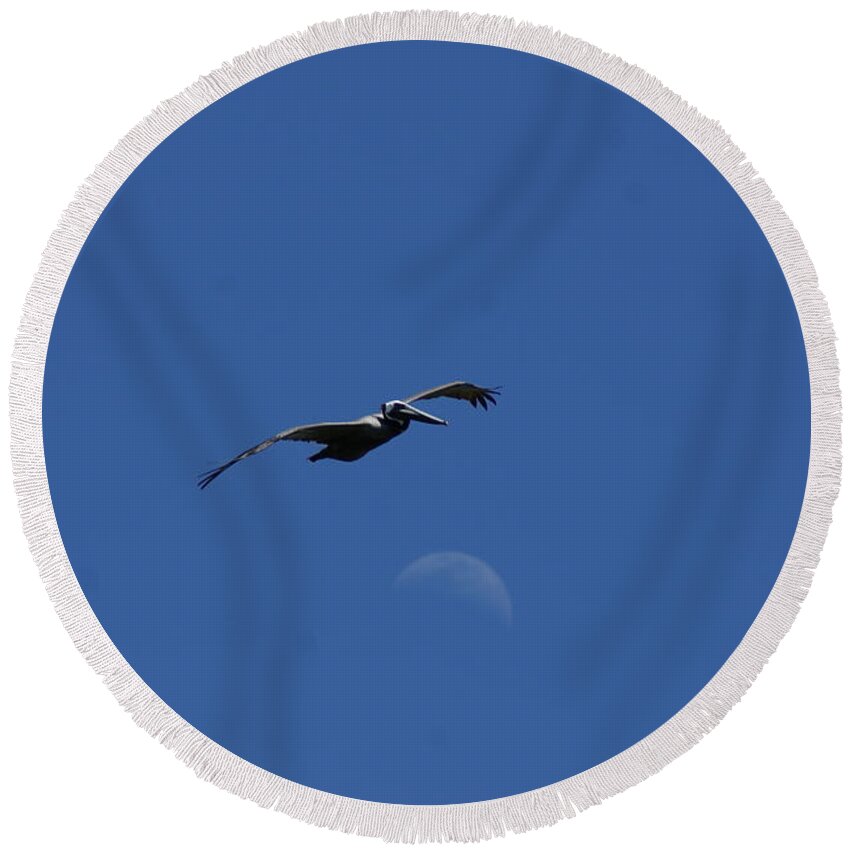 Pelican Round Beach Towel featuring the photograph Pelican Moon by Heather E Harman