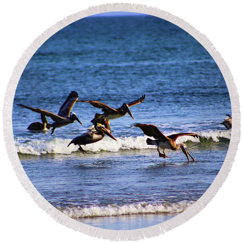 Pelicans Round Beach Towel featuring the photograph Pelican Party by Marcus Jones