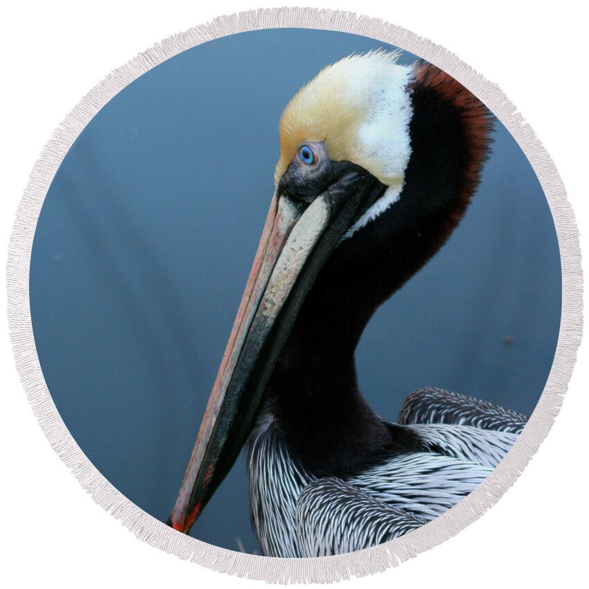 Nature Round Beach Towel featuring the photograph Pelican Profile by Mariarosa Rockefeller