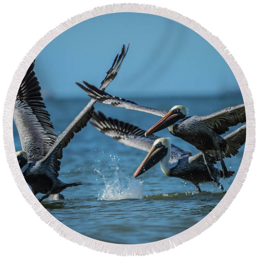Pelicans Round Beach Towel featuring the photograph Pelicans By The Sea by George Kenhan