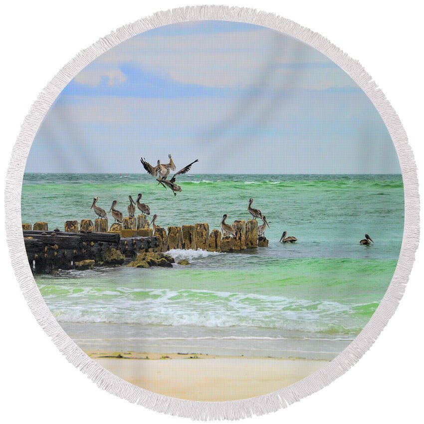 Pelicans Round Beach Towel featuring the photograph Pelicans in Florida by Alison Belsan Horton