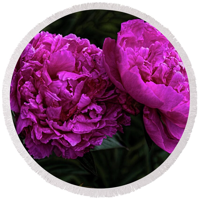 Flowers Round Beach Towel featuring the photograph Peonies by Elaine Teague