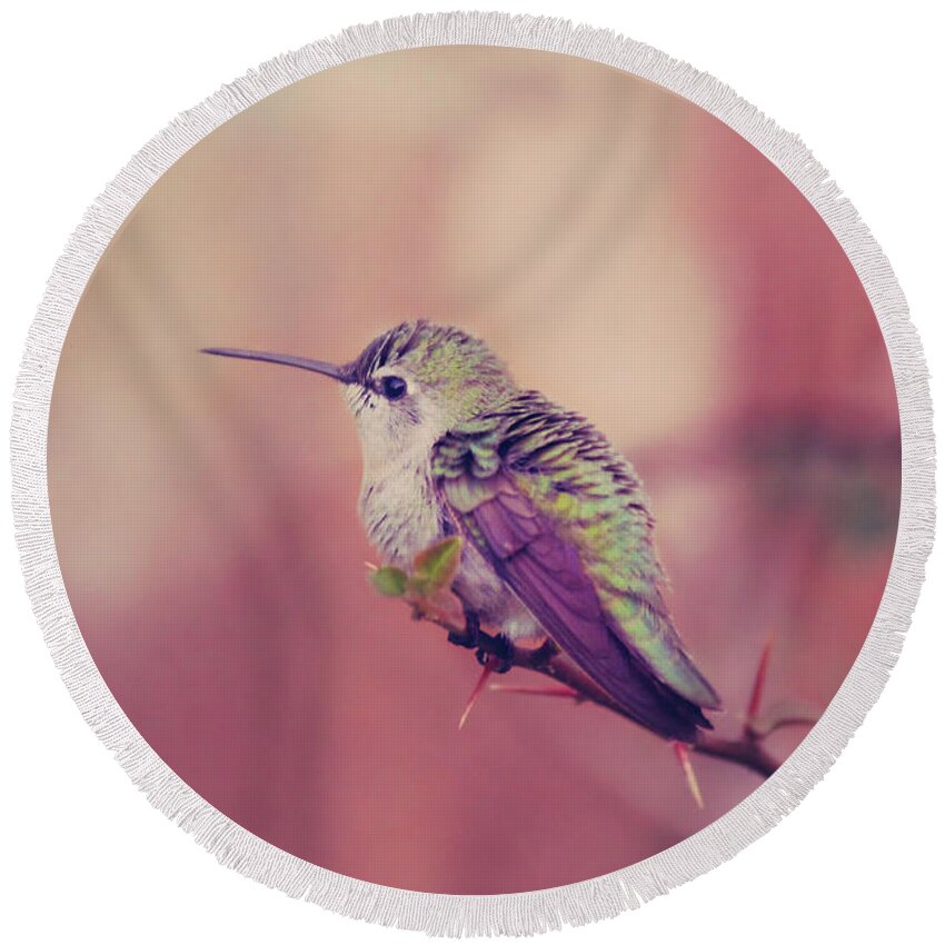 Hummingbirds Round Beach Towel featuring the photograph Perch by Laurie Search