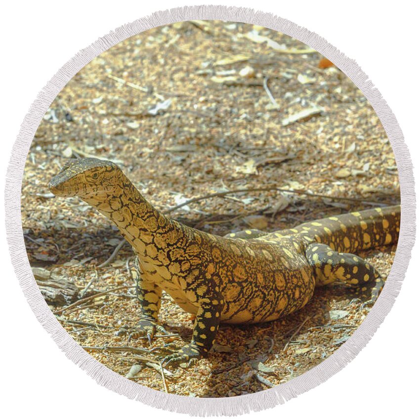 Perentie Round Beach Towel featuring the photograph Perentie lizard goanna by Benny Marty