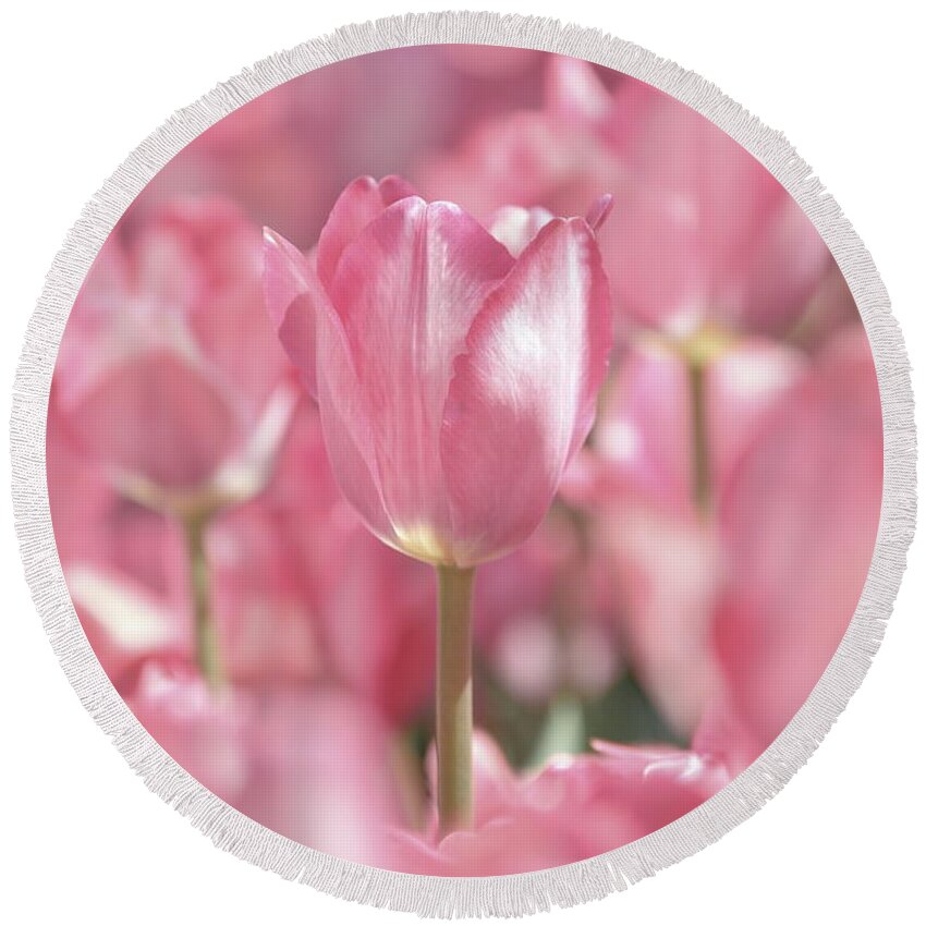 Nature Round Beach Towel featuring the photograph Perfectly Pink by Lens Art Photography By Larry Trager