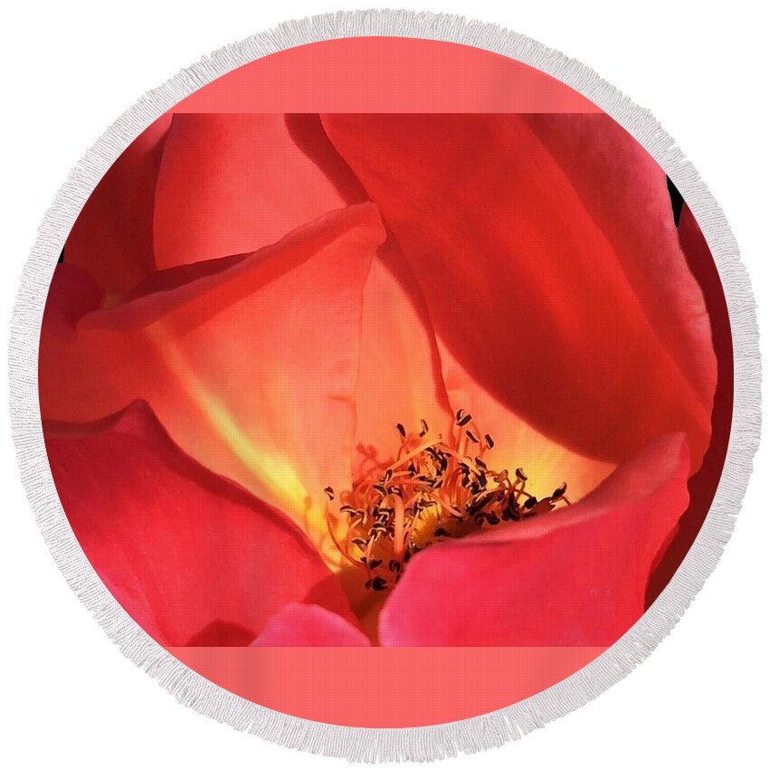 Rose Round Beach Towel featuring the photograph Petals Aflame by Angela Davies