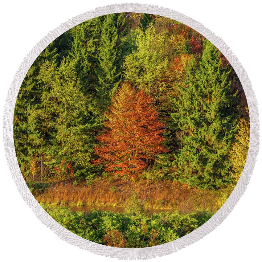 Autumn Round Beach Towel featuring the photograph Philip's Autumn Trees by Don Nieman