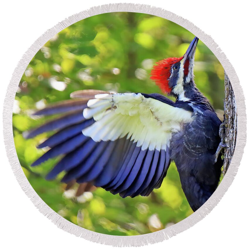 Pileated Woodpecker Round Beach Towel featuring the photograph Pileated Woodpecker by Shixing Wen