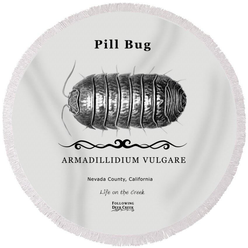 Pillbug Round Beach Towel featuring the digital art Pill Bug by Lisa Redfern