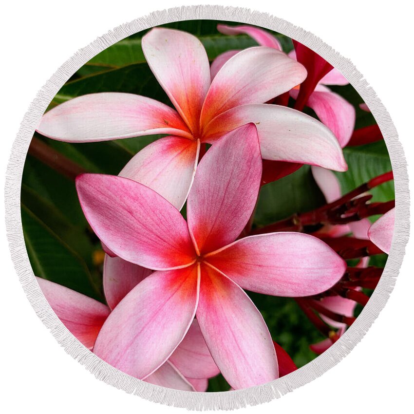 Plumeria Round Beach Towel featuring the photograph Pink And Red Plumeria by Brian Eberly