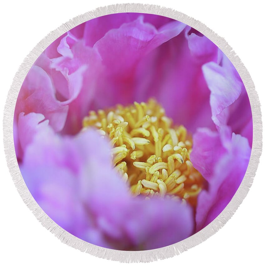  Round Beach Towel featuring the photograph Pink Bloomer by Nicole Engstrom
