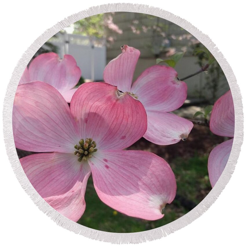 Pink Round Beach Towel featuring the photograph Pink Dogwood Blossoms by Christopher Lotito