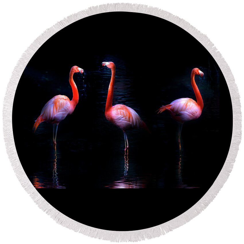 Pink Flamingos Round Beach Towel featuring the photograph Pink Flamingos by Mark Andrew Thomas