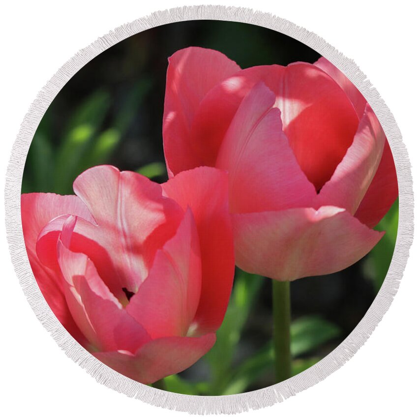 Tulip Round Beach Towel featuring the photograph Pink Invitation by D Lee
