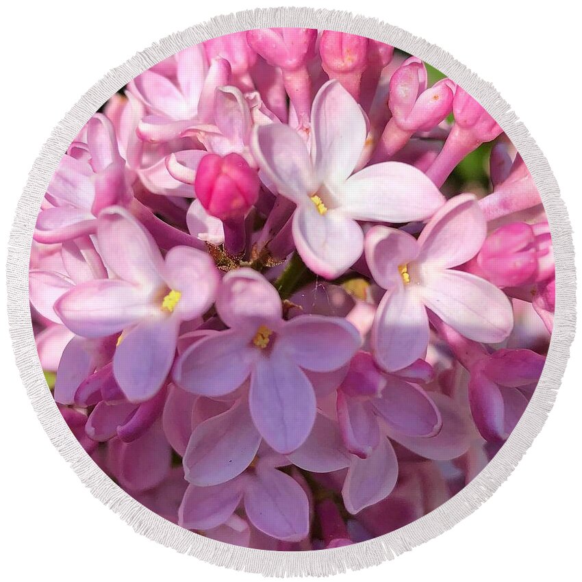 Lilacs Round Beach Towel featuring the photograph Pink Lilacs by Deahn Benware