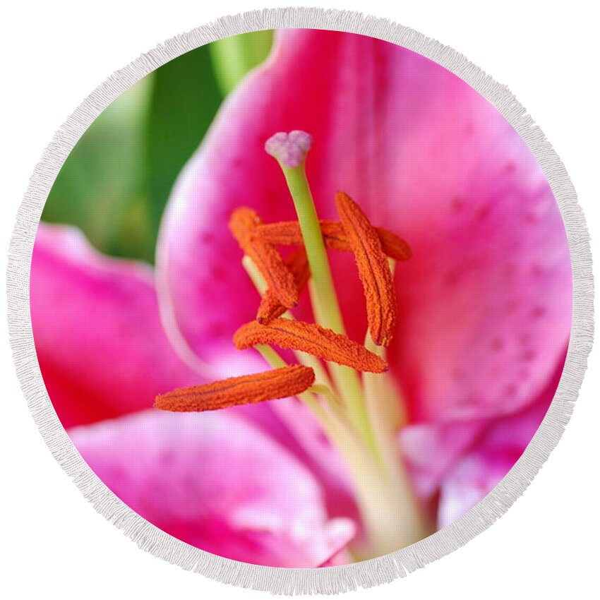 Lily Round Beach Towel featuring the photograph Pink Lily 1 by Amy Fose