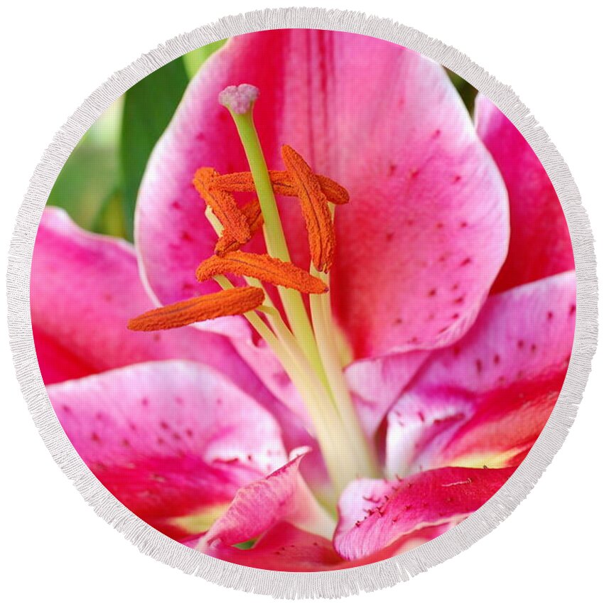 Lily Round Beach Towel featuring the photograph Pink Lily 3 by Amy Fose