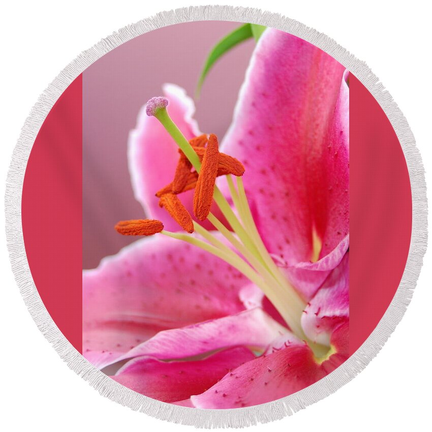 Lily Round Beach Towel featuring the photograph Pink Lily 5 by Amy Fose