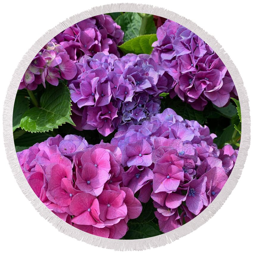 Flowers Round Beach Towel featuring the photograph Pink n Purple by Lee Darnell
