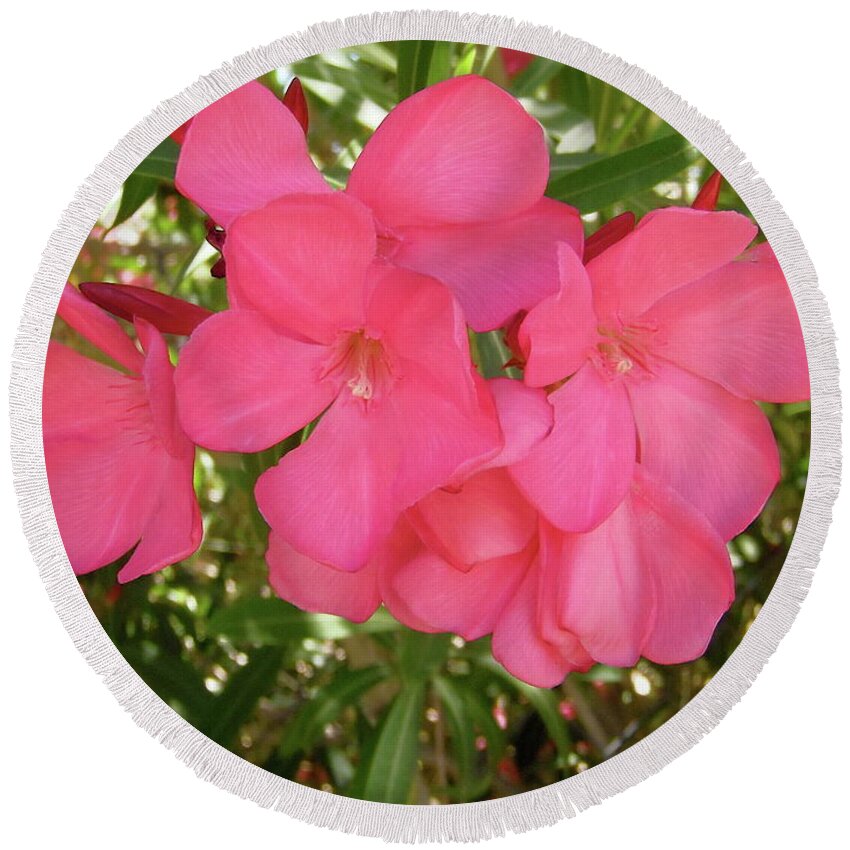 Flowers Round Beach Towel featuring the photograph Pink Oleanders by Stephanie Moore