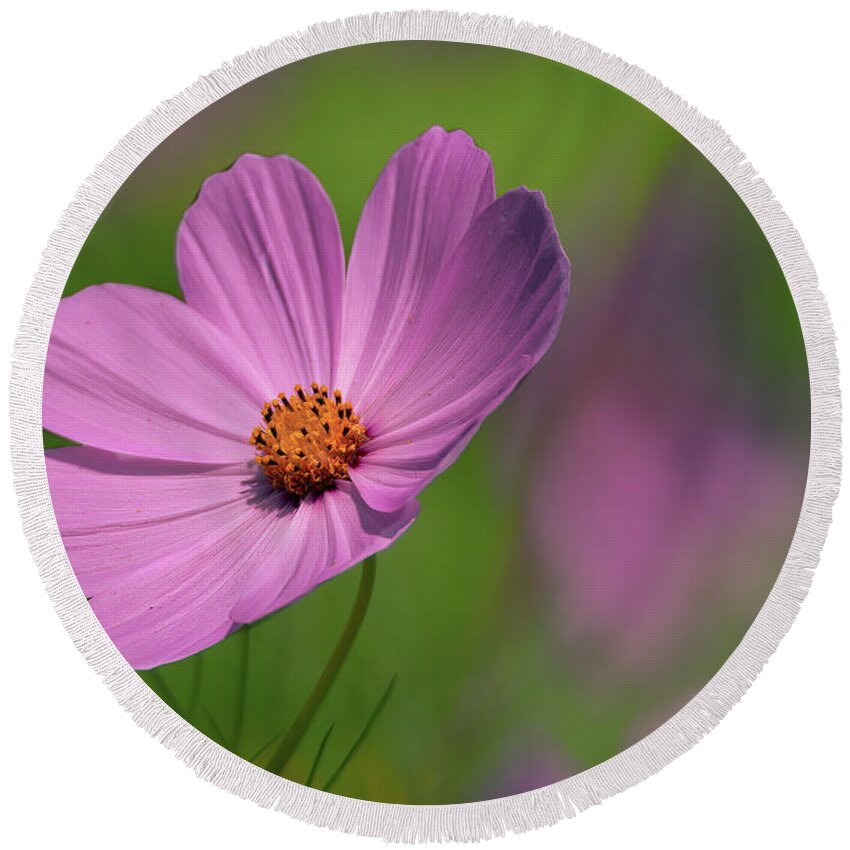 Wildflowers Round Beach Towel featuring the photograph Pink Profile by Skip Tribby