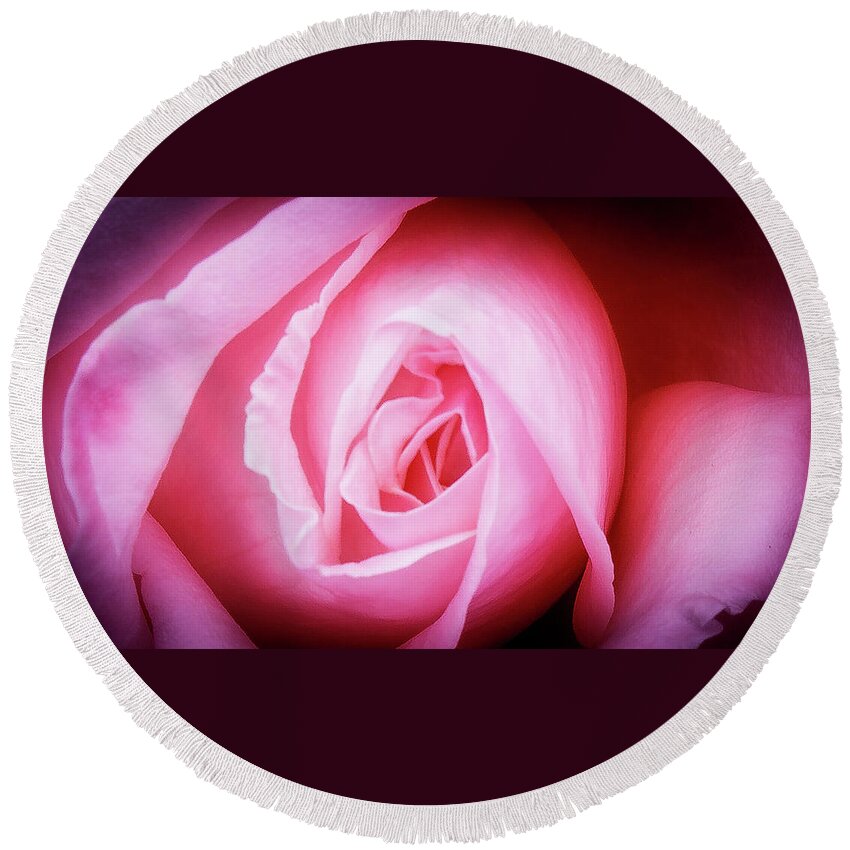 Pink Rose Round Beach Towel featuring the photograph Pink Rose by David Morehead