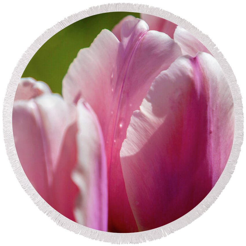 Pink Tulips Round Beach Towel featuring the photograph Pink Tulips, Flowers by David Millenheft