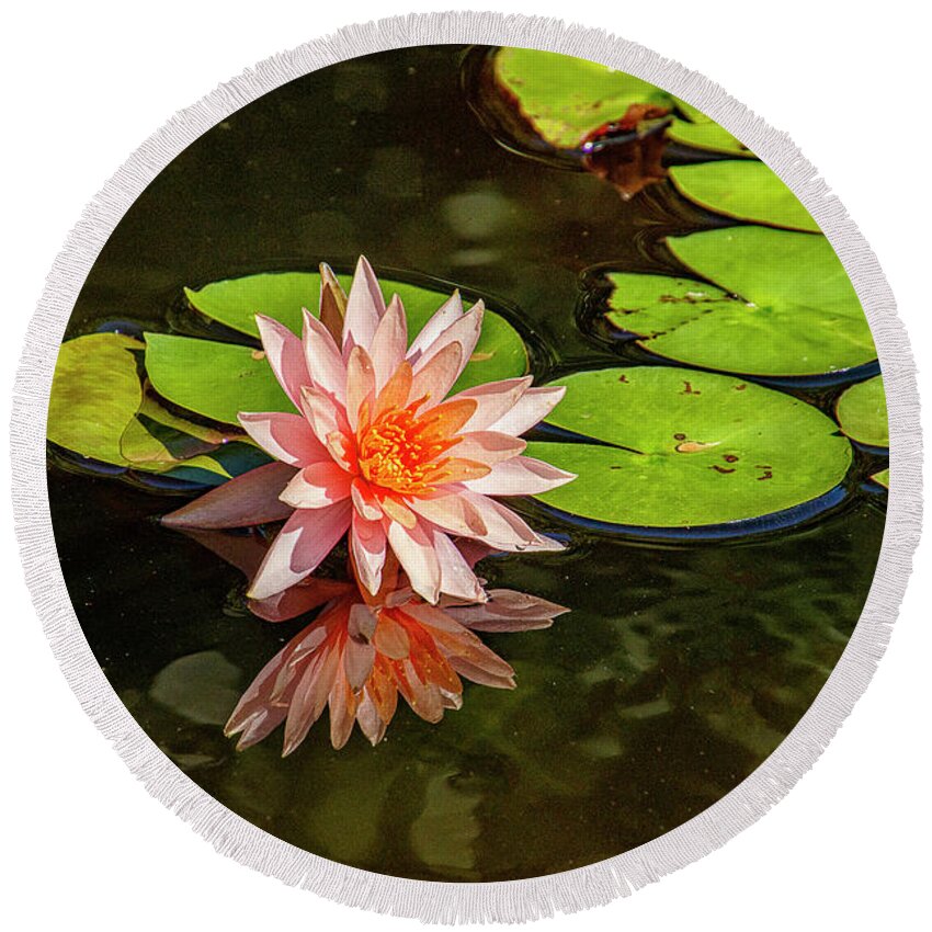 Lily Round Beach Towel featuring the photograph Pink Water Lily by Bill Barber